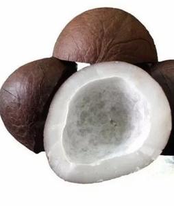 Noix de coco déshydratée de qualité supérieure (TH) - Durée de conservation de 2 ans en vente - Product Image 2