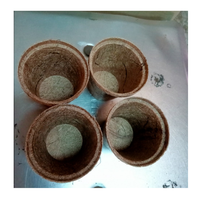 Pot de coco de noix de coco de qualité supérieure pot de coco décoratif jardinière pour fleurs herbes légumes adapté au jardin balcon décor à la maison