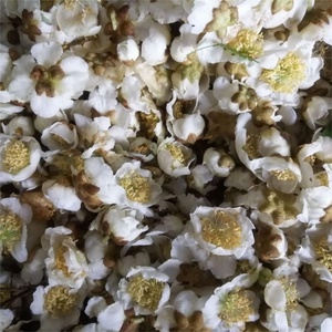 Fournisseur de pollen masculin de <span class=keywords><strong>kiwi</strong></span> de haute qualité en vrac - Essentiel pour la pollination artificielle des vergers et un rendement exceptionnel - Product Image 6