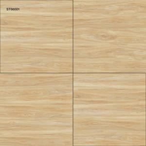 Baldosas Modernas de Alta Calidad con Acabado Brillante ST66001 60x60cm Resistentes al Desgaste y Antideslizantes para Renovación de Viviendas - Product Image 1