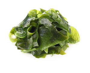 Polvo de algas verdes secas ULVA Lactuca, venta al por mayor, venta a granel, vegetación marina BARATA y conveniente - Product Image 2