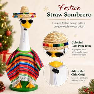 Disfraz de Ganso para Porche, Poncho Mexicano, Sombrero de Paja, Gafas de Sol, Decoración de Jardín - Product Image 2