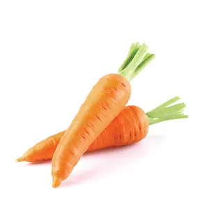 新鲜胡萝卜专业工厂批发优质越南100% 天然健康橙