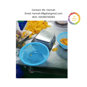 IQF Premium Tropical Frozen Passion Fruit Concentrate Suministro al por mayor a granel para bebidas y servicio de alimentos Listo para usar - Product Image 2