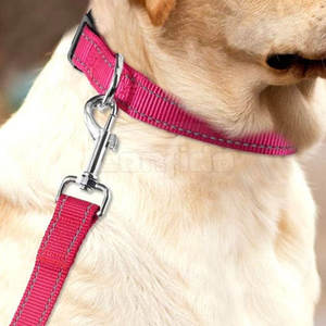 Collar Resistente para Mascotas con Hebilla Fuerte, Correa Ajustable, Diseño de Tela Transpirable, para Mascotas Grandes, Medianas y Pequeñas, Uso Diario, Accesorios para Mascotas - Product Image 6