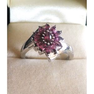 Trendy Natural <b>Garnet</b> Cluster <b>Ring</b> Oval Cut Diamonds Inlay Setting Technology Copper Alloy Materials Geometric Shape Claw Inlay - Product Image 1