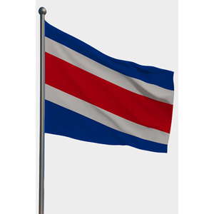 Bandera de mano para exteriores de Costa Rica con logotipo personalizado, técnicas de impresión digital, seda, algodón, nailon, industria de seguros automotrices, aluminio - Product Image 1