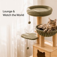Arbre à chat en bois avec maisonnette, hamac et griffoirs pour grands chats, intérieur, vert sauge