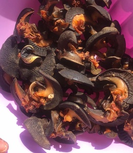 100% Escargots géants africains séchés de qualité supérieure 100% Escargots comestibles naturels à vendre - Product Image 3