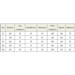 2025 nouveau automne hommes ensemble de course hommes Sport costumes vêtements de sport survêtement vêtements de sport sweats à capuche t costume hommes sport Se - Product Image 6