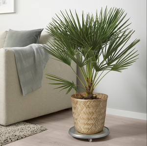 TRUNGHOA-Contenedores de bambú artesanales para jardín, hogar, oficina, decoración, productos ecológicos de proveedor vietnamita - Product Image 5