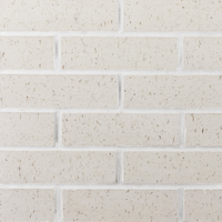 Briques d'argile naturelles solides pour façade, qualité supérieure, briques réfractaires pour façades extérieures et intérieures