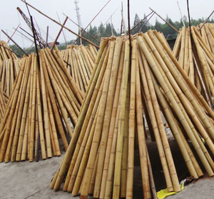 Split Bamboo Export Grande quantité Split Half Cut Poteaux de bambou Matériaux naturels - Product Image 5