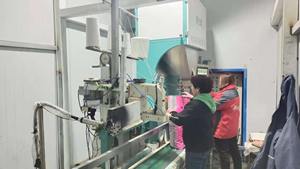 Cacahuete orgánico a granel, cacahuetes blanqueados, calidad superior, suministro al por mayor, ingrediente para hornear aperitivos saludables - Product Image 5