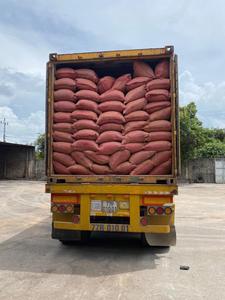 Joss Powder Tabu Powder Litea Bark Varillas de incienso religiosas de alta calidad Benzoin Bergamota Aroma Cilantro Plug Precio competitivo - Product Image 6