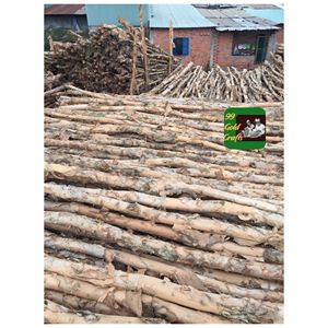 Piquets en bois d'eucalyptus traité pour l'agriculture, le soutien des jardins, la construction de clôtures, l'aménagement paysager, l'extérieur, usage intensif, fourniture du Vietnam - Product Image 5