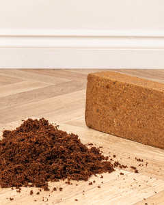 มะพร้าวพีทส่งออกจำนวนมากจากเวียดนาม - Product Image 6