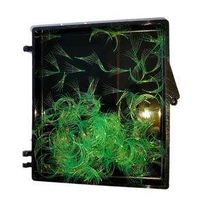 Nuevas Extensiones de Pestañas Postizas Coreanas de Fibra PBT 6D de Volumen Completo Hechas a Mano, 1000 Fans/Caja, Sueltas, 0.03mm, Pestañas Nhu Y Hechas en Vietnam - Product Image 1