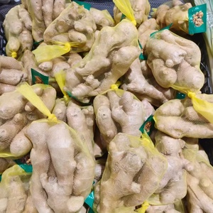 Rouleau <span class=keywords><strong>de</strong></span> filet tubulaire en PP/PE <span class=keywords><strong>de</strong></span> qualité alimentaire certifié usine, sacs en filet haute résistance pour l'emballage des légumes, des œufs, des oignons et des pommes <span class=keywords><strong>de</strong></span> terre - Product Image 3
