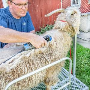Paquete de Tijeras Eléctricas 4000s con Peine de 20 Dientes - Product Image 1
