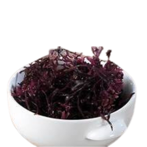 MOUSSE DE COUTURE NATURELLE CRUE SÉCHÉE MOUSSE DE MER IRLANDAISE DE HAUTE QUALITÉ DE VIETNAM EXPAD COMPANY - 100% BIOLOGIQUE - Product Image 6