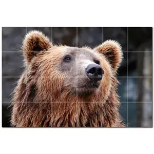 Mural de pared de baldosas de cerámica de oso PT500127 36 "W X 24" H Juego de 24 baldosas de cerámica 6x6 - Product Image 1