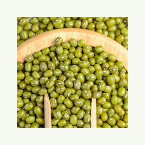Vente en gros de haricots mungo Vigna verts de haute qualité Gram vert Moong vert - Product Image 1