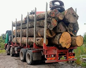 Hạt dẻ bản ghi cho nội thất gỗ dự án hạt dẻ gỗ cho khắc và crafting hạt dẻ bản ghi cho Diy gỗ dự án - Product Image 2