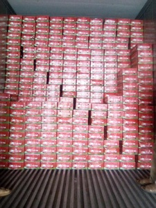 Chile Rojo Seco Picante Natural, Entero y sin Tallo, para el Mercado Internacional de Alimentos, Calidad Premium, Exportación a Granel, Suministro de Pimiento Rojo - Product Image 2