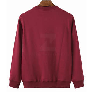 Sweat-shirt en molleton respirant 100% coton pour homme, de qualité supérieure, logo personnalisé, écologique, vente en gros, décontracté, hiver - Product Image 2