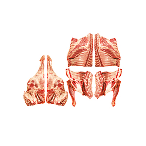 Quartier avant de bœuf désossé certifié halal d'origine pour l'exportation/BFQ Viande de bœuf en vrac de bœuf congelé - Product Image 3