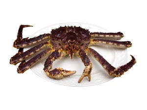 Cangrejo rey fresco y congelado de alta calidad disponible en grandes Cantidades/Dónde pedir Cangrejo rey rojo vivo de tamaños de 5kg - Product Image 6