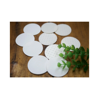 Bouchon de bouteille en film EPE blanc SAM LAN de haute qualité, anti-fuite, prolonge la durée de conservation, taille personnalisée (épaisseur 0,6-1,5 mm), logo OEM