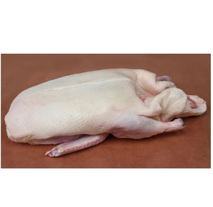 Carcasse d'oie congelée, viande naturelle saine, qualité supérieure, approvisionnement en vrac, adapté pour la restauration, les restaurants et les services alimentaires - Product Image 5