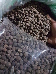 BAYAS MYRTLE SECAS/TÓNICO NATURAL/RICO ANTIOXIDANTE/INGREDIENTES LIMPIOS - Product Image 2