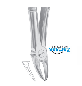 คีมสกัดสแตนเลสสำหรับแยกฟันกรามบนผู้ผลิตและผู้ส่งออก55 - Product Image 3