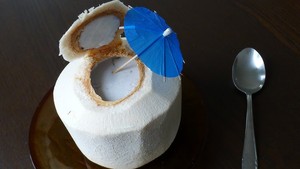 Poudre de gelée de noix de coco de qualité supérieure, qualité alimentaire, mélange pour desserts en provenance du Vietnam - Product Image 2