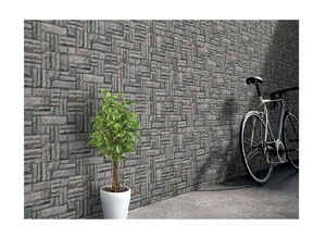 Ấn Độ 3Mm Sâu Nổi Đồ Họa Đá Gạch Đấm Tường Gạch 300X600 Chống Trượt Gạch Cho Bên Ngoài Bức Tường Thiết Kế Đồ Họa Giải Pháp - Product Image 5