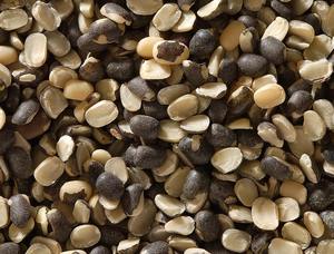 Urad dal saludable y nutritivo a granel, 100% natural, sin OMG, legumbre rica en proteínas y fibra, ideal para sopas, ensaladas, germinación y cocina. - Product Image 3