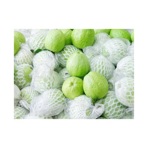 Fruits de goyave frais, sucrés, juteux, aromatiques, produits tropicaux de haute qualité, acheteurs en gros, exportateurs, commerciaux - Product Image 6