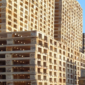 Fournisseur en gros de palettes en bois Euro EPAL prêtes à être expédiées / Fournisseurs en gros de palettes en bois EPAL - Product Image 1
