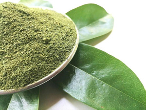 สำหรับผู้ซื้อทั่วโลกส่งออกผงใบพร้อมผลิตในเวียดนาม - Product Image 3