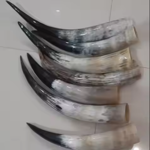 Corne à boire Viking africaine polie écologique artisanale Style animal Forme naturelle par Crescent Crafts - Product Image 3