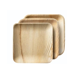 Platos de Hoja de Palma MÁS VENDIDOS para Eventos de Catering y Picnics al Aire Libre, Estructura Resistente para Alimentos y Aspecto Estético para Servir - Product Image 3