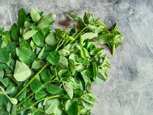 PURE <b>DRIED</b> SWEET LEAF / CLEAN LABEL / <b>PLANT</b> ORIGIN / NATURAL SOURCE - Product Image 5