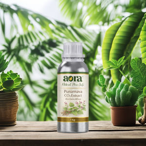 Extracto de Punarnava CO2, Extracto Vegetal Premium para una Salud Óptima (Boerhavia diffusa) - Product Image 1