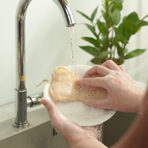 ฟองน้ำใยบวบธรรมชาติย่อยสลายได้แผ่นขัดล้างจานอเนกประสงค์ดูดซับได้ดีเยี่ยม - Product Image 6