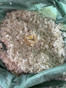 Escamas de Pescado Secas de Buena Calidad a Bajo Precio de Fábrica, Escamas de Pescado Secas con el Mejor Descuento para Exportación - Product Image 2