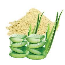 Poudre d'extrait sec d'aloe vera à 20 %, un puissant remède naturel d'Inde pour la digestion cutanée et l'immunité, conditionnée en fûts de verre - Product Image 2