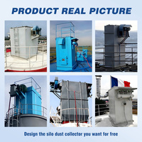 Filtro de ventilación para silo, colector de polvo para cemento en polvo y cenizas volantes, filtración de polvo para ventilación de silos, personalizado